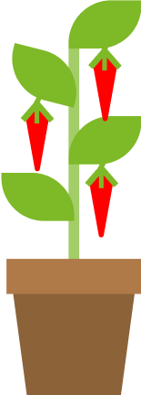 Immagine per Stato offerte